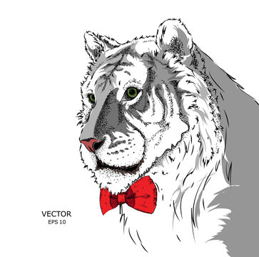 Portrait of a tiger with tie and in the glasses. Can be used for printing on T-shirts, flyers and stuff. Vector illustration