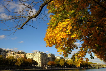 Automne à Paris, France