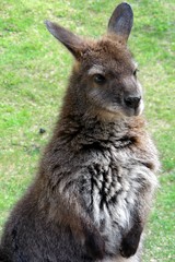 Road trip in Australia