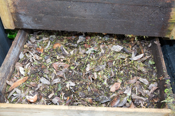 Compost Bin with Food Scraps and Grass Cuttings