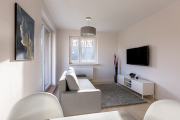 Simple living room with tv