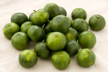 シークヮーサー