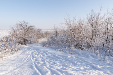 A snow-covered road, stretching out into the distance in the forest, a clear sunny day in winter