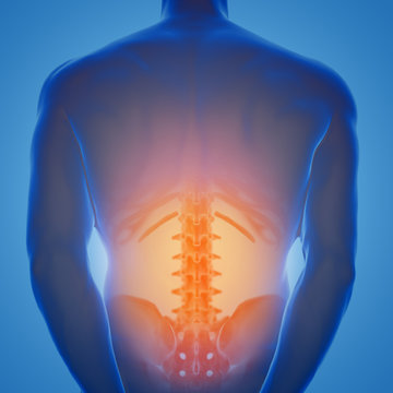 3d rendering of human male lower back with pain zone