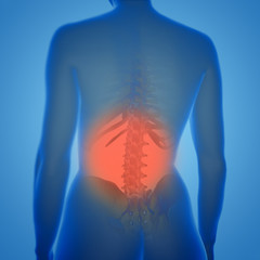 3d rendering of female lower back