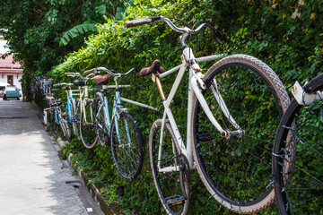 Fototapeta premium 自転車・二輪車・アート