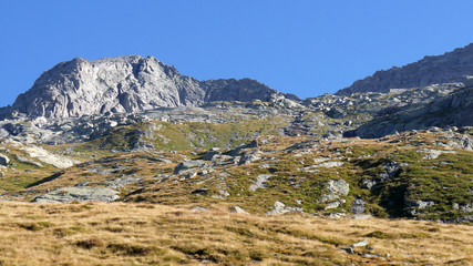 Alpi orobiche pizzo Ligoncio
