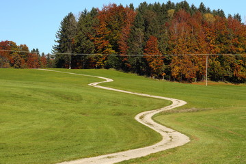 kurviger Weg im Herbst