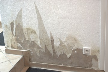 Wet, moulding wallpaper