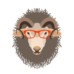 ram sheep face in glasses vector illustration flat style