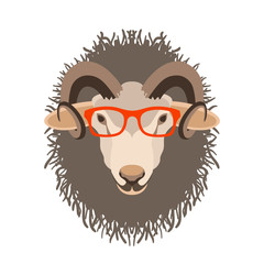 ram sheep face in glasses vector illustration flat style