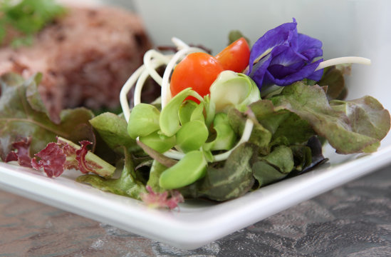 Salad with pea flower on white plate.