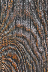 photo, close-up board, wood grain, fiber, knots and swirls