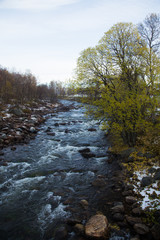 A beautiful river flowing through the Norwegian forest in autumn. Colorful landscape of fall.