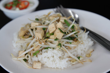 Thai cuisine, rice with stir fried bean sprouts and tofu on white plate.