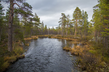 Fototapeta na wymiar A beautiful river flowing through the Norwegian forest in autumn. Colorful landscape of fall.