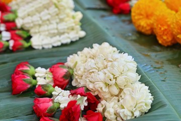 Jasmine garland in market