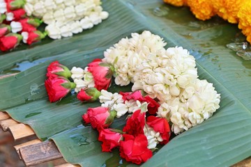 Jasmine garland in market