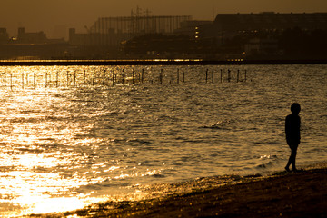 afternoon of autumn at seaside park / Sanbanse Seaside Park in Funabashi City, Chiba Prefecture,Japan
