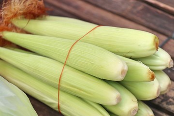Young corn at market