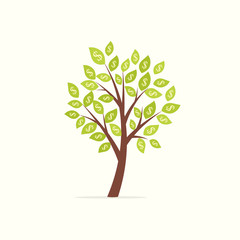 money tree with dollars.