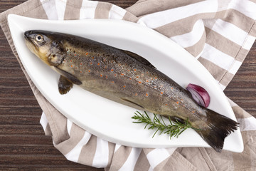 Fresh rainbow trout fish.