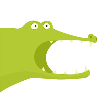 alligator with open mouth