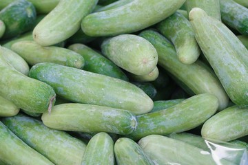 cucumber at the market