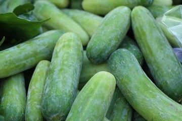 cucumber at the market