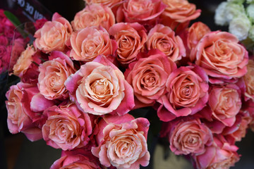 Fototapeta na wymiar Bouquet de roses en été