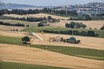 Obraz premium Summer landscape in Marches (Italy) near Montefano
