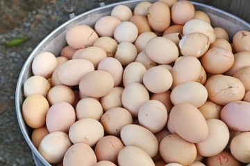 Boiled egg at street food