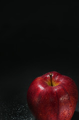 Red wet apple with drops