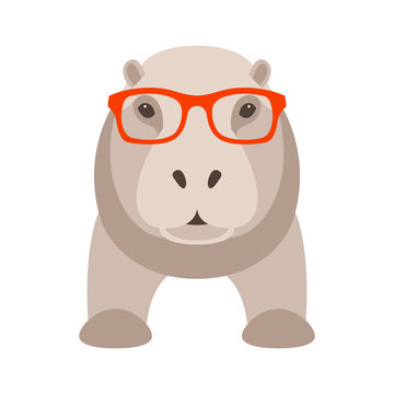 hippo face in glasses vector illustration flat style