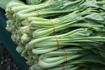 Choy at the market