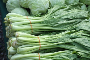 Choy at the market