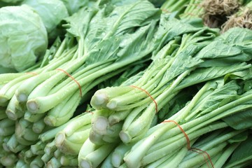 Choy at the market