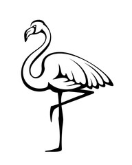 Fototapeta premium Vector black silhouette of a flamingo isolated on a white background.