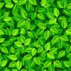 Vector seamless background with green leaves.