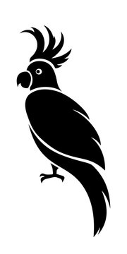 Vector Black Silhouette Of A Cockatoo Parrot.