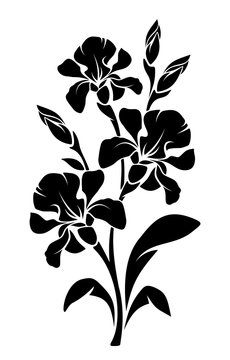Vector black silhouette of branch of iris flowers isolated on a white background.