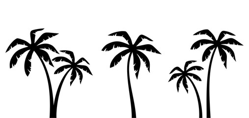Fototapeta premium Zestaw wektor czarne sylwetki drzew palmowych na białym tle na białym tle.