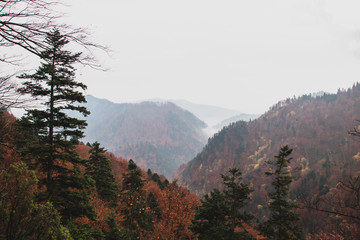 Autumn mountain landscape and fog © Bogdan