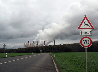 Straße mit Straßenschild 'Wildwechsel', im Hintergrund Elektrizitätswerk mit Emissionen,...