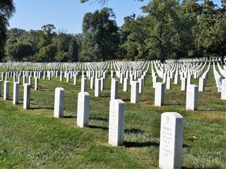 Arlington