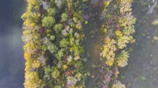 4k aerial footage fly over forest in fall time. View from above. Ukraine