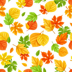 Vector seamless pattern with colorful autumn leaves on a white background.