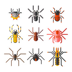 Spider web silhouette arachnid fear graphic flat scary animal design nature insect danger horror halloween vector icon.