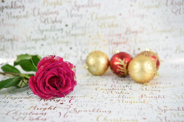 photography image of fresh glitter red rose flower on light shiny Christmas text background with red and gold color tree decoration baubles