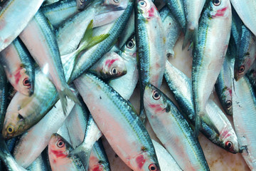 Obraz premium fresh fish for food preparation as background.
